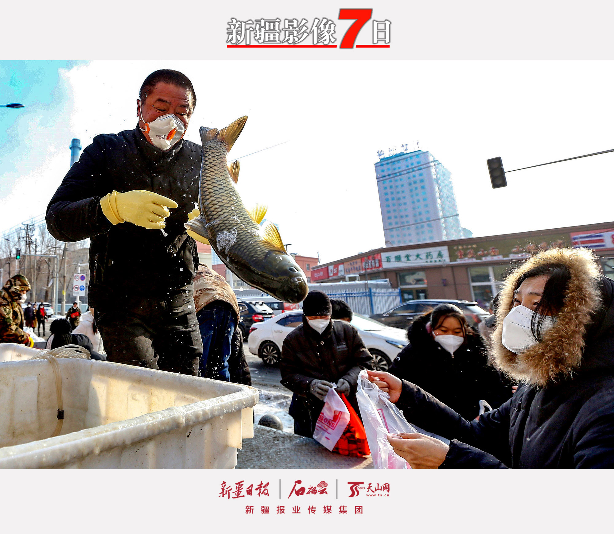 11月29日，市民在烏魯木齊市天山區(qū)堿泉三街購(gòu)買草魚。近日，烏魯木齊市穩(wěn)步有序恢復(fù)正常生產(chǎn)生活秩序。石榴云/新疆日?qǐng)?bào)記者　李瑞　攝