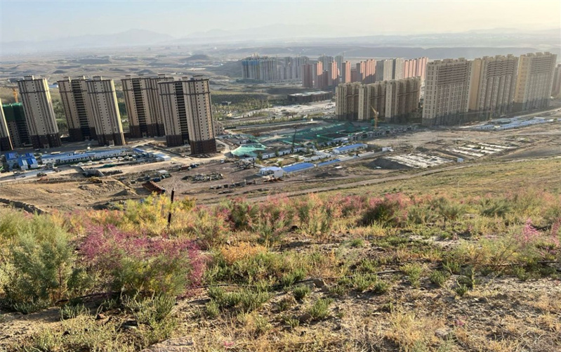烏魯木齊大泉湖煤田火區(qū)治理后，地表植被得以恢復(fù)。新疆應(yīng)急管理廳供圖